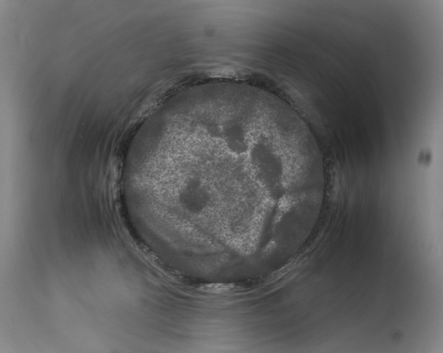 X0000112930273200910051138