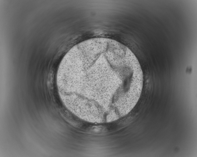 X0000112930275200910051138