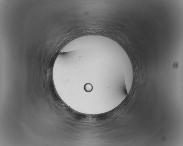 X0000112930276200910051138