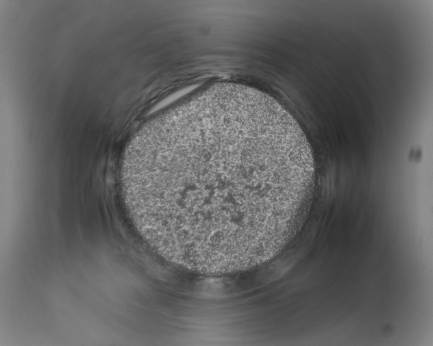 X0000112930277200910051138