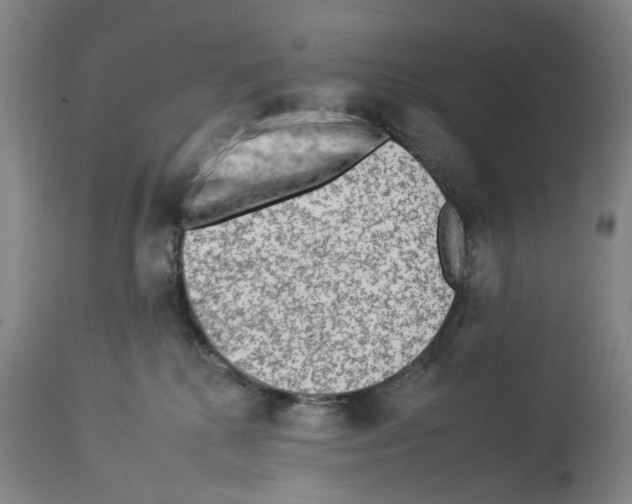 X0000112930280200910051138