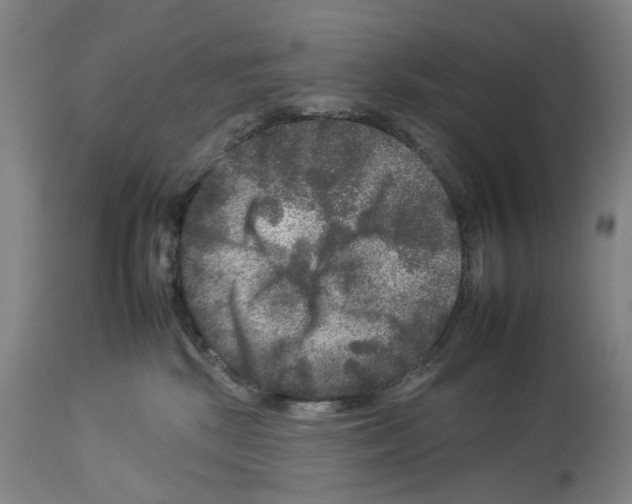 X0000112930281200910051138
