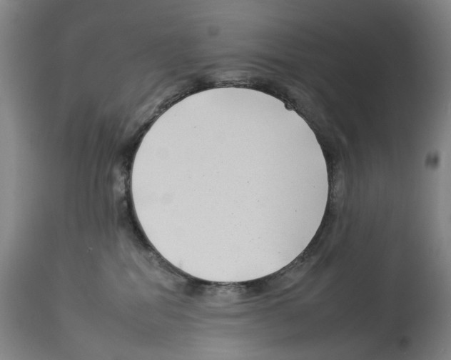 X0000112930282200910051139