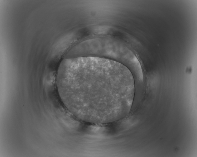 X0000112930284200910051139