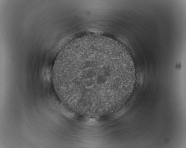 X0000112930285200910051139