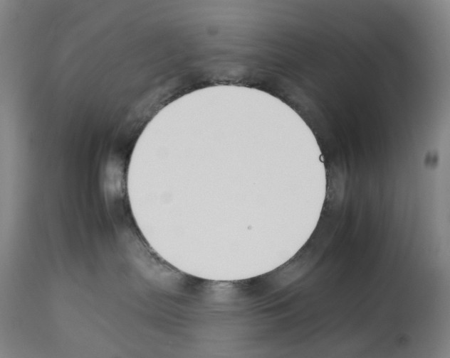 X0000112930287200910051139