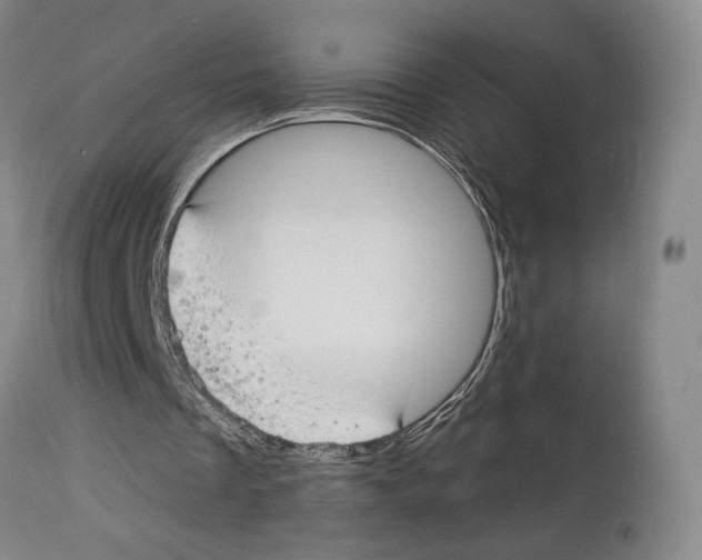 X0000112930289200910051138