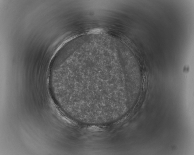 X0000112930290200910051138