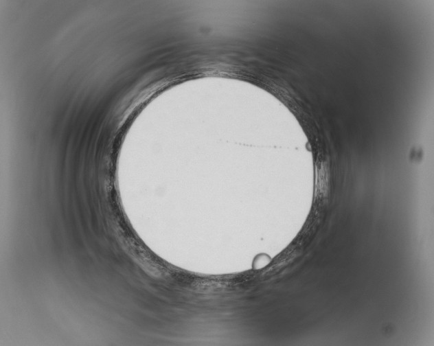 X0000112930291200910051138