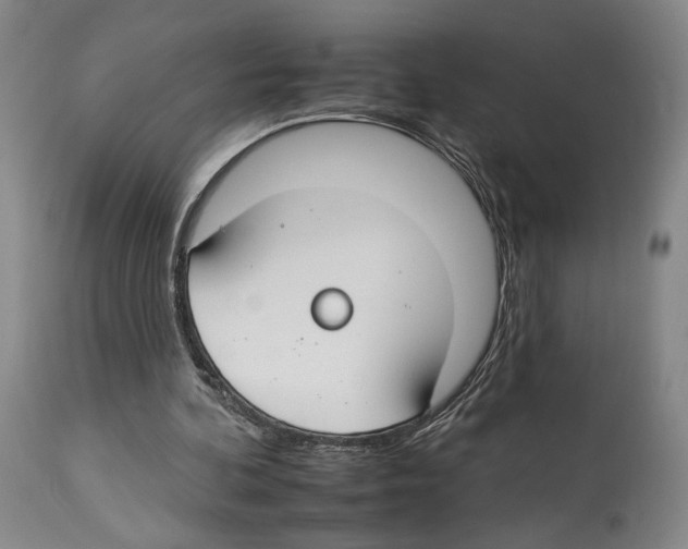 X0000112930292200910051138