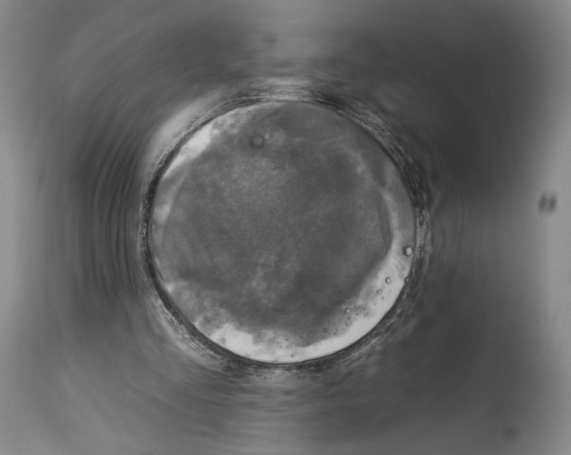 X0000112930293200910051138