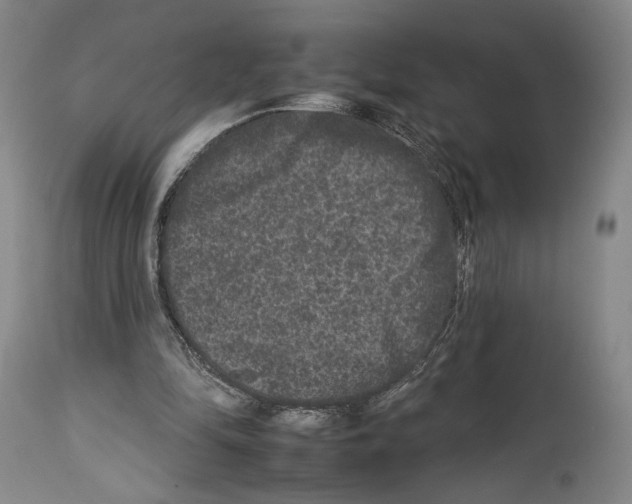 X0000112930294200910051138