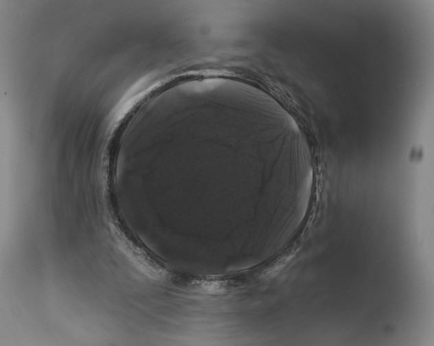 X0000112930295200910051138