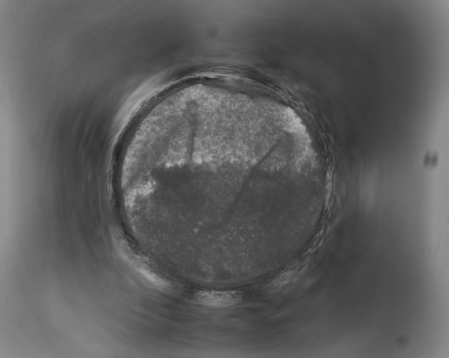 X0000112930296200910051138