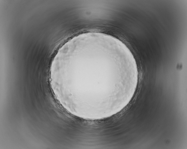 X0000112930297200910051138