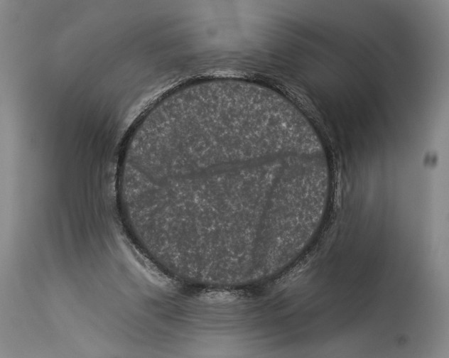 X0000112930299200910051138
