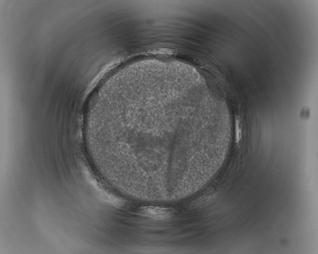 X0000112930300200910051137