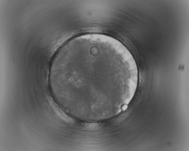 X0000112930301200910051137