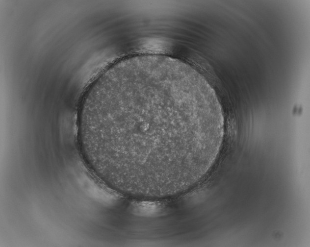 X0000112930302200910051137