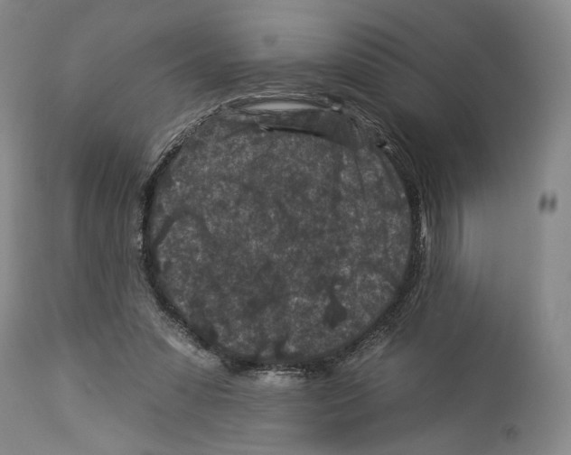 X0000112930303200910051137