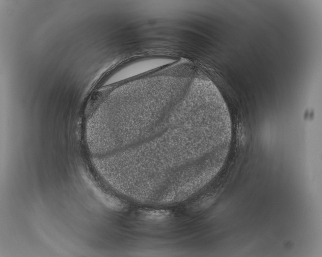 X0000112930304200910051137