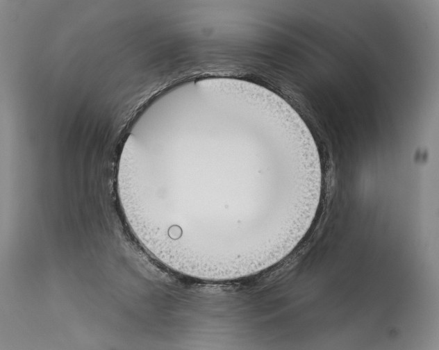 X0000112930305200910051137