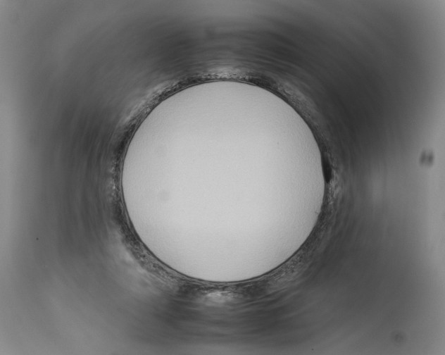 X0000112930306200910051137