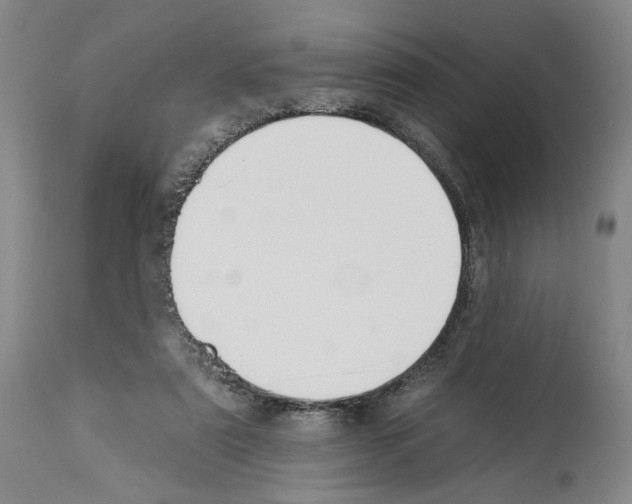 X0000112930307200910051137