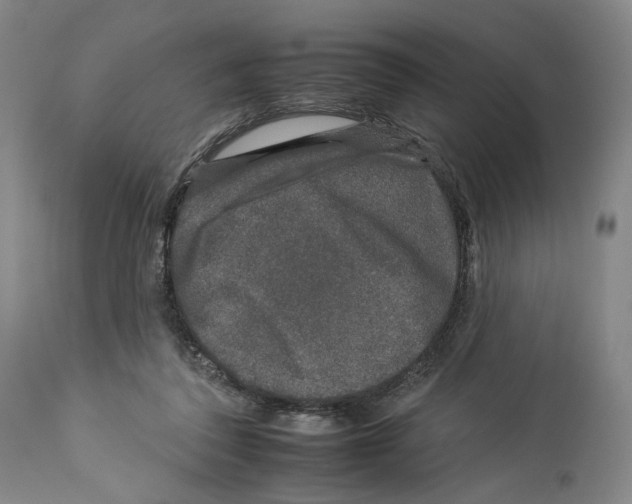 X0000112930308200910051137