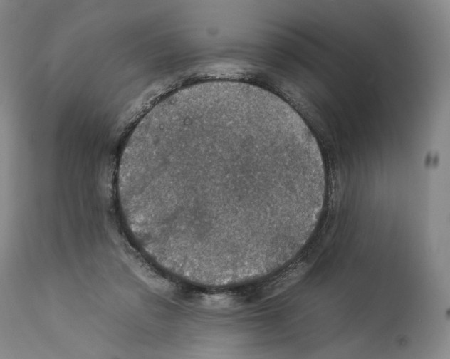 X0000112930309200910051137