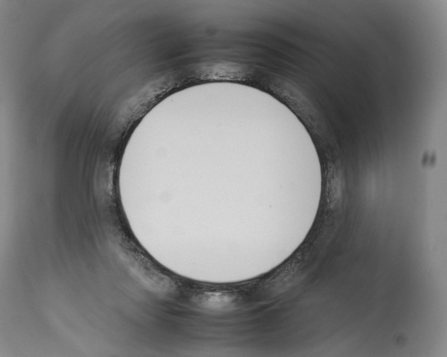 X0000112930310200910051137