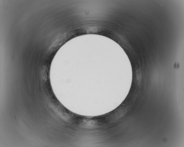 X0000112930311200910051137