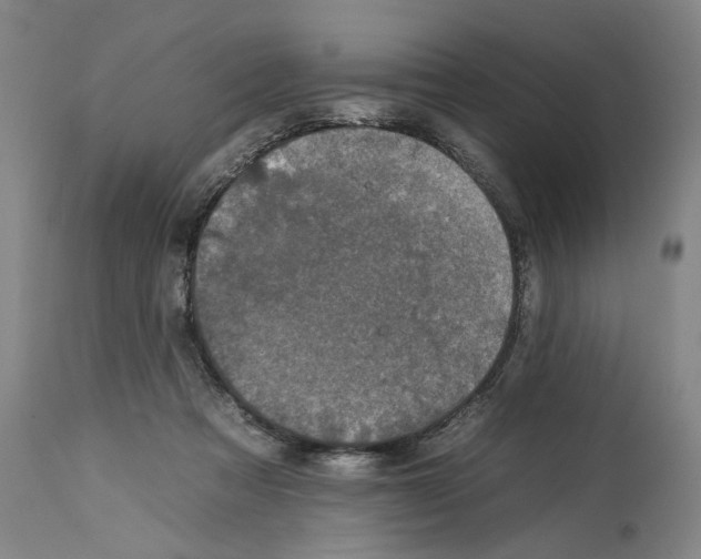 X0000112930313200910051137