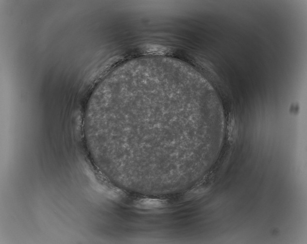X0000112930314200910051137