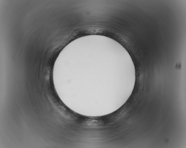 X0000112930315200910051137