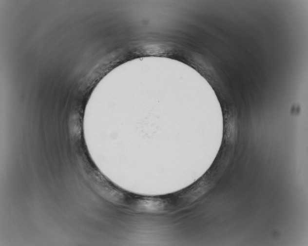 X0000112930317200910051137