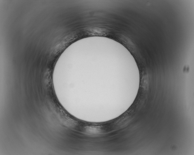 X0000112930318200910051137