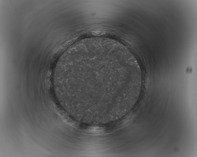 X0000112930319200910051137