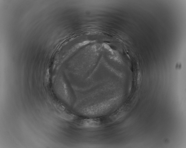 X0000112930320200910051137