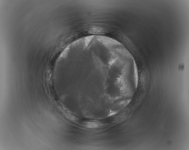 X0000112930322200910051137