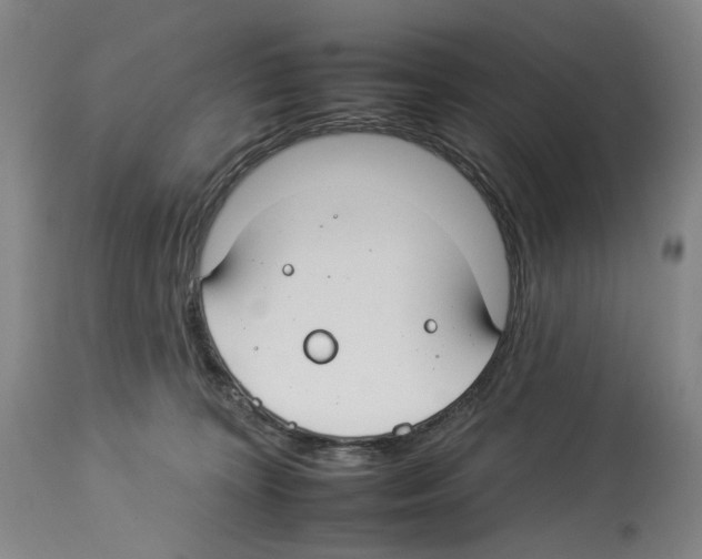 X0000112930324200910051137