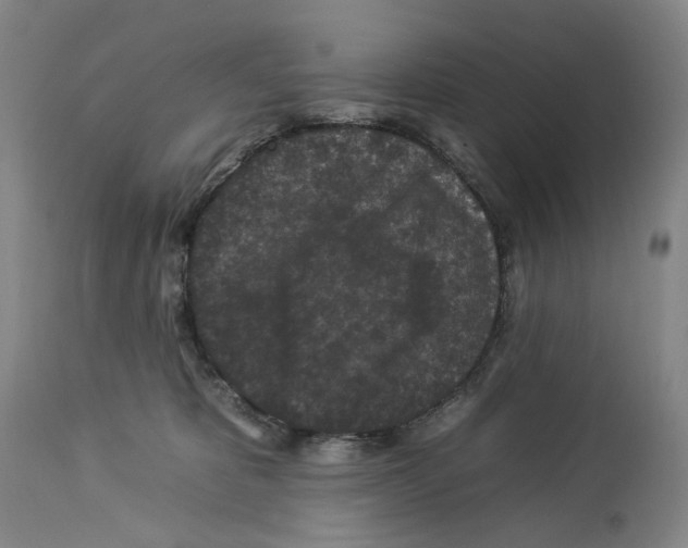 X0000112930325200910051137