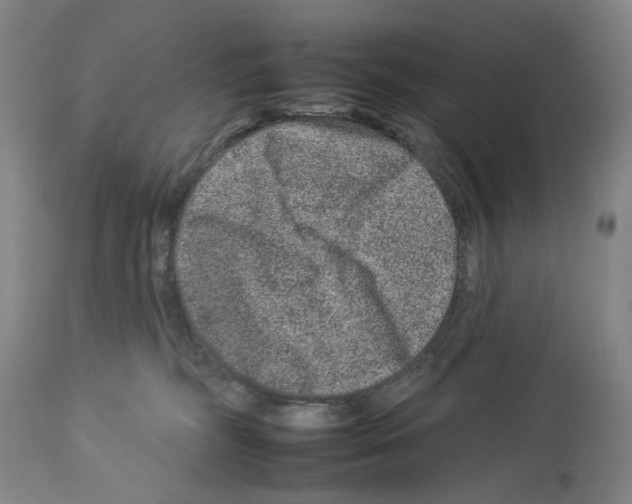 X0000112930326200910051137