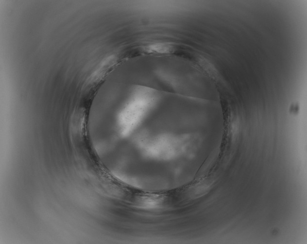 X0000112930328200910051137