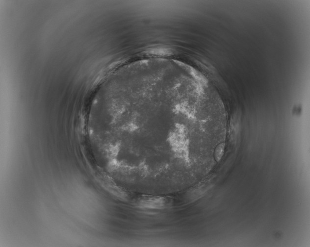 X0000112930330200910051137