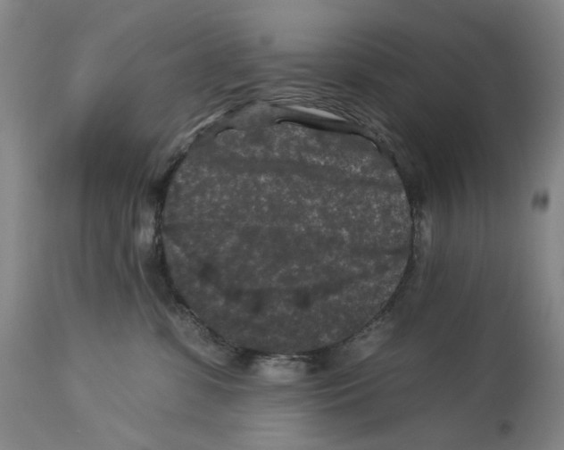 X0000112930331200910051137