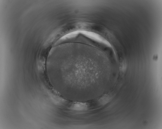 X0000112930332200910051137