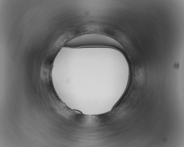X0000112930333200910051137