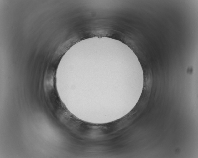 X0000112930334200910051137