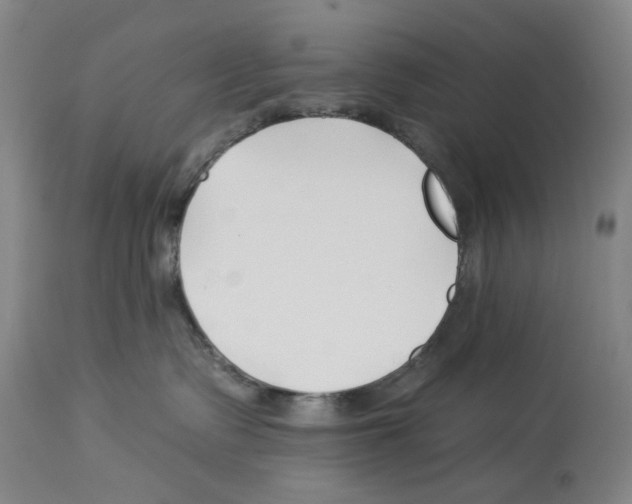X0000112930335200910051137